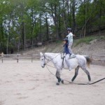 Ecole equitation cevennes lozère