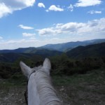 Une ballade à cheval dans les cévennes en lozère