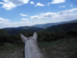 Une ballade à cheval dans les cévennes en lozère