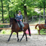 cours d' équitation adulte