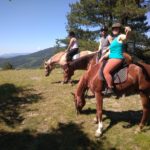 Panorama balade à cheval